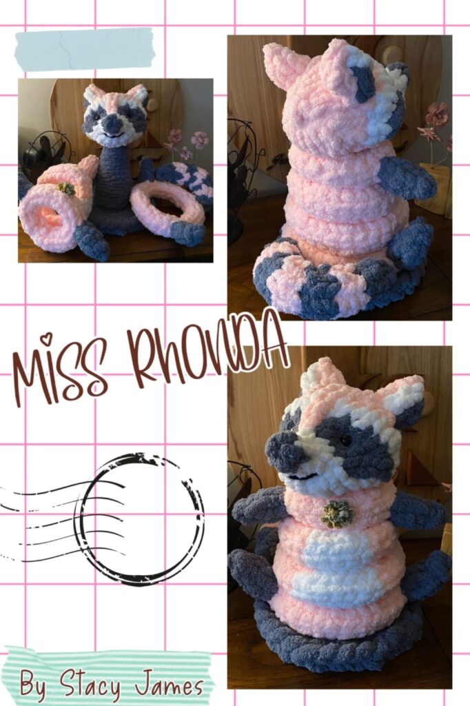 Rhonda the Ring-Stack Raccoon